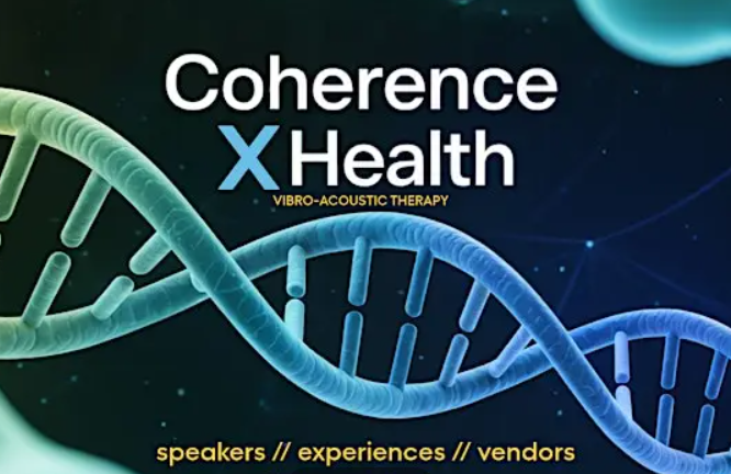 Screenshot 2026-02-16 131316